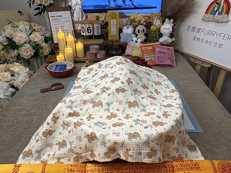 宠物爪印留念与纪念品定制