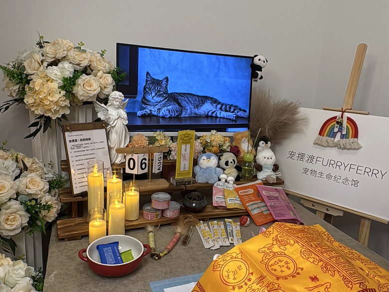 宠物纪念相册与追思布置
