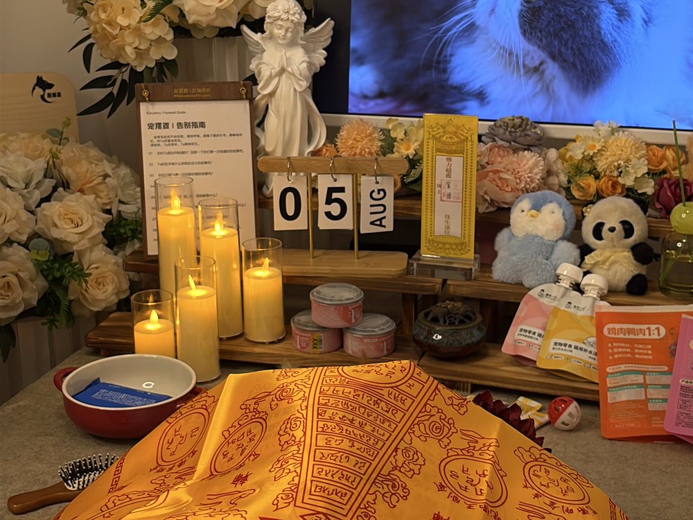 宠物告别仪式现场布置