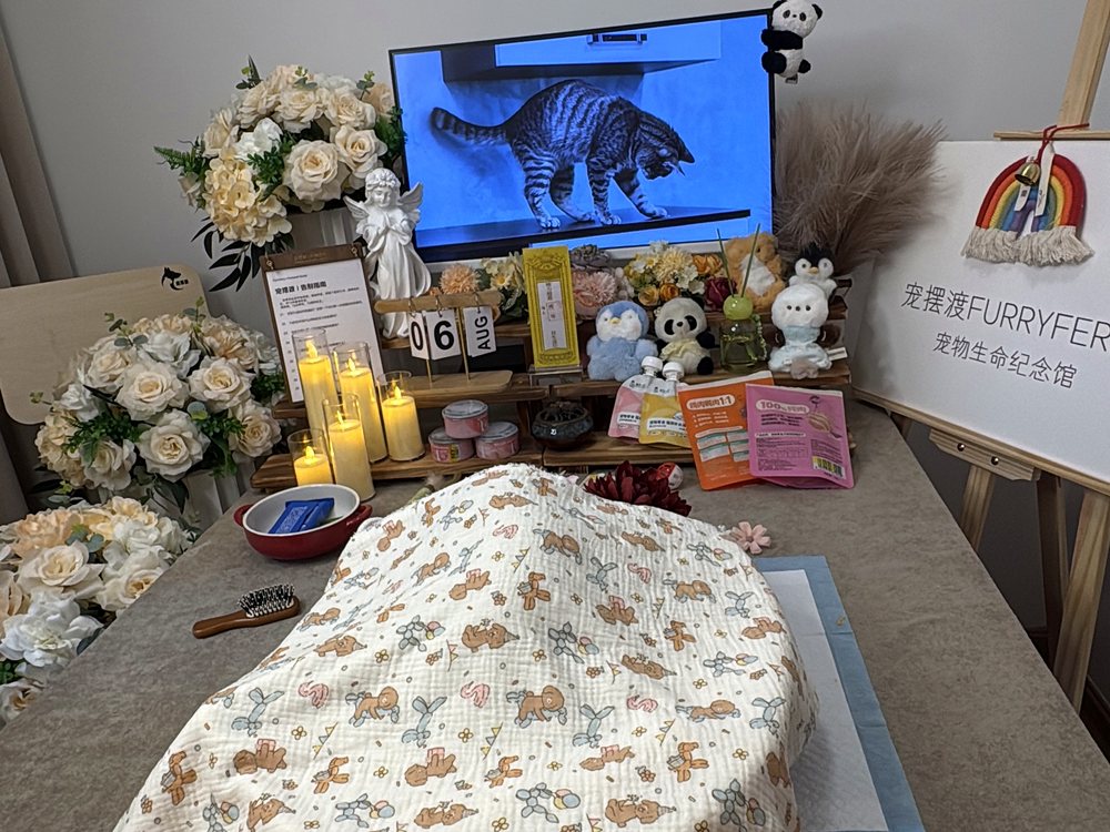 宠物骨灰交付与纪念品